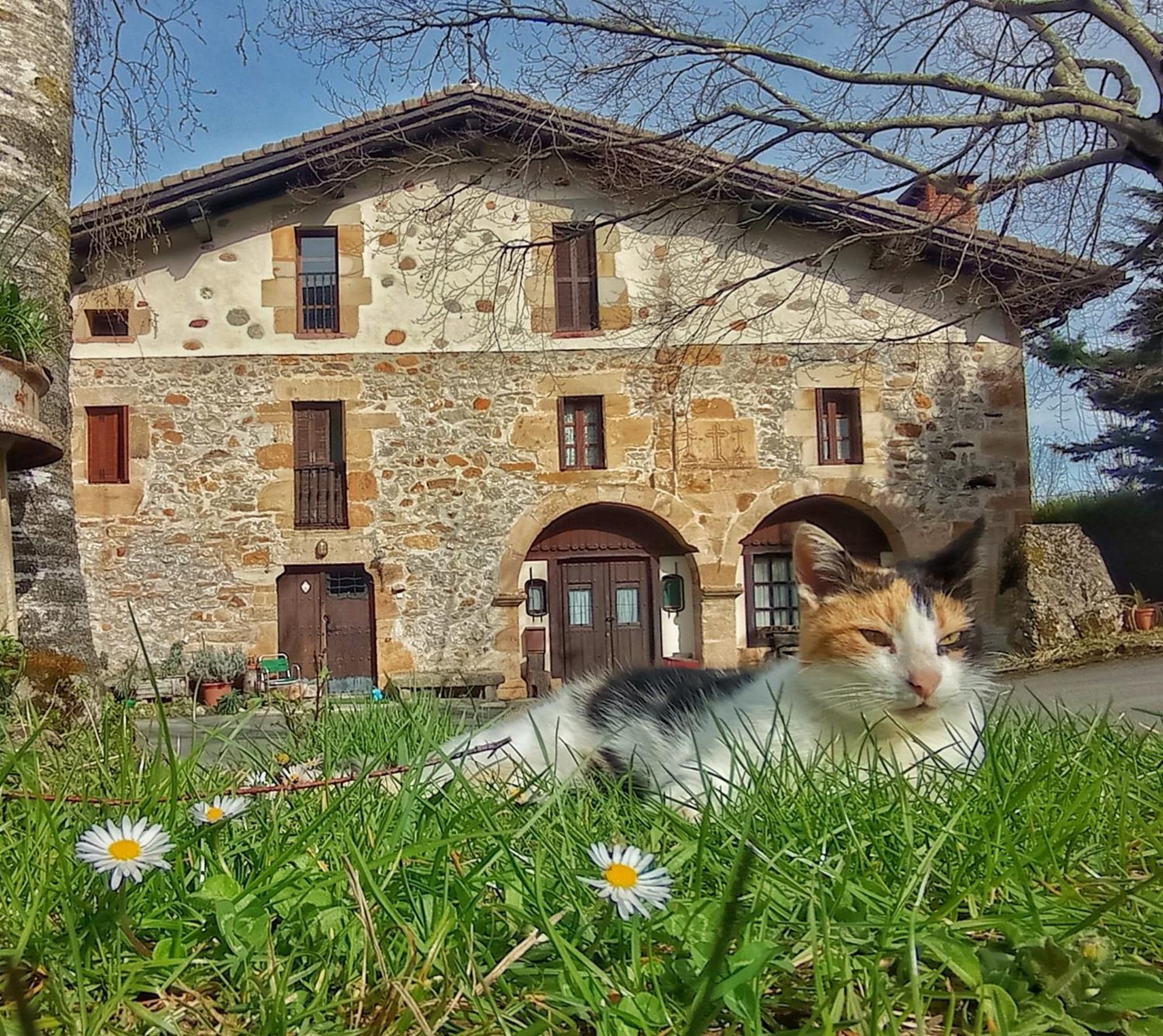 Casa Rural Areano Escoriaza Esterno foto
